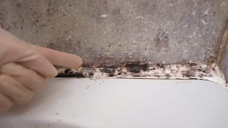 Best Residential Mold Inspection & Testing  in Callaway, FL